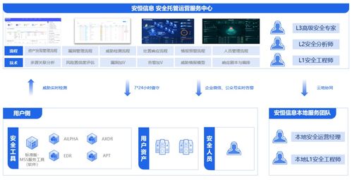 安恒信息領跑中國公有云托管安全服務市場，深化信息系統集成服務優勢